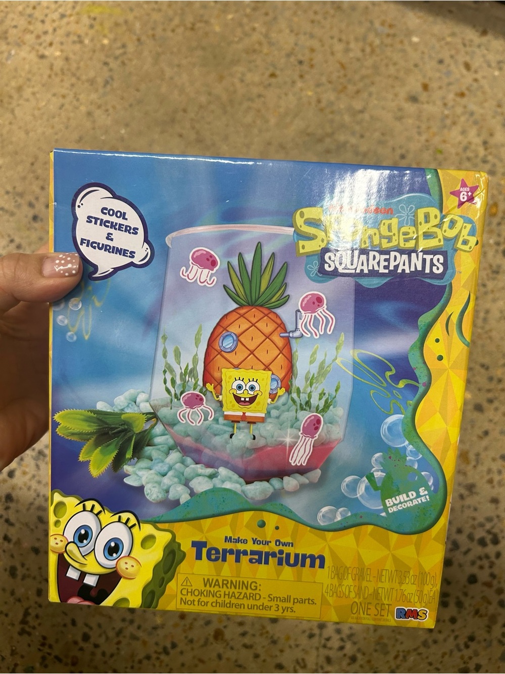SpongeBob SquarePants Make Your Own Terrarium